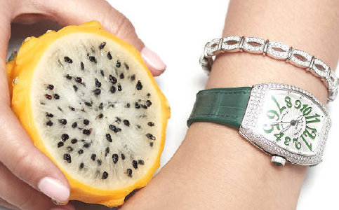 法穆兰中国售后维修服务中心